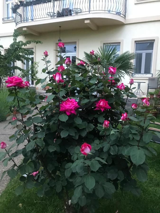Aurelia Rooms Mostar Bagian luar foto