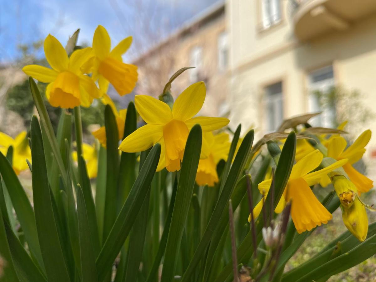 Aurelia Rooms Mostar Bagian luar foto