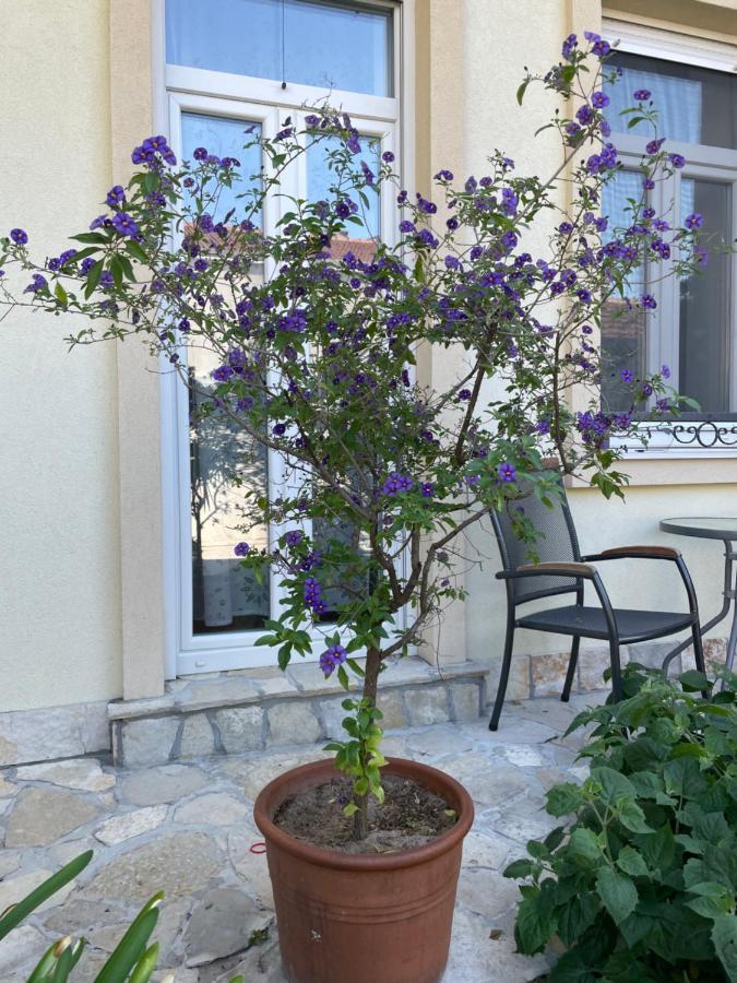 Aurelia Rooms Mostar Bagian luar foto